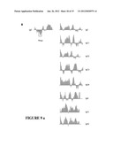 METHODS FOR TREATING IgE-MEDIATED DISORDER diagram and image