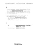 METHODS FOR TREATING IgE-MEDIATED DISORDER diagram and image