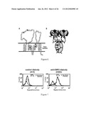 EMP2 ANTIBODIES AND THEIR THERAPEUTIC USES diagram and image