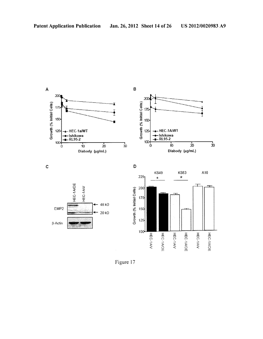 EMP2 ANTIBODIES AND THEIR THERAPEUTIC USES - diagram, schematic, and image 15