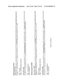 EMP2 ANTIBODIES AND THEIR THERAPEUTIC USES diagram and image