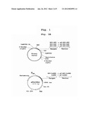 Production of Biologically Active Proteins diagram and image