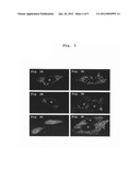 Production of Biologically Active Proteins diagram and image