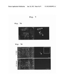 Production of Biologically Active Proteins diagram and image