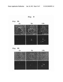 Production of Biologically Active Proteins diagram and image