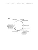 HIV DNA Vaccine Methods of Use diagram and image