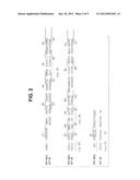 MARKED BOVINE VIRAL DIARRHEA VIRUS VACCINES diagram and image