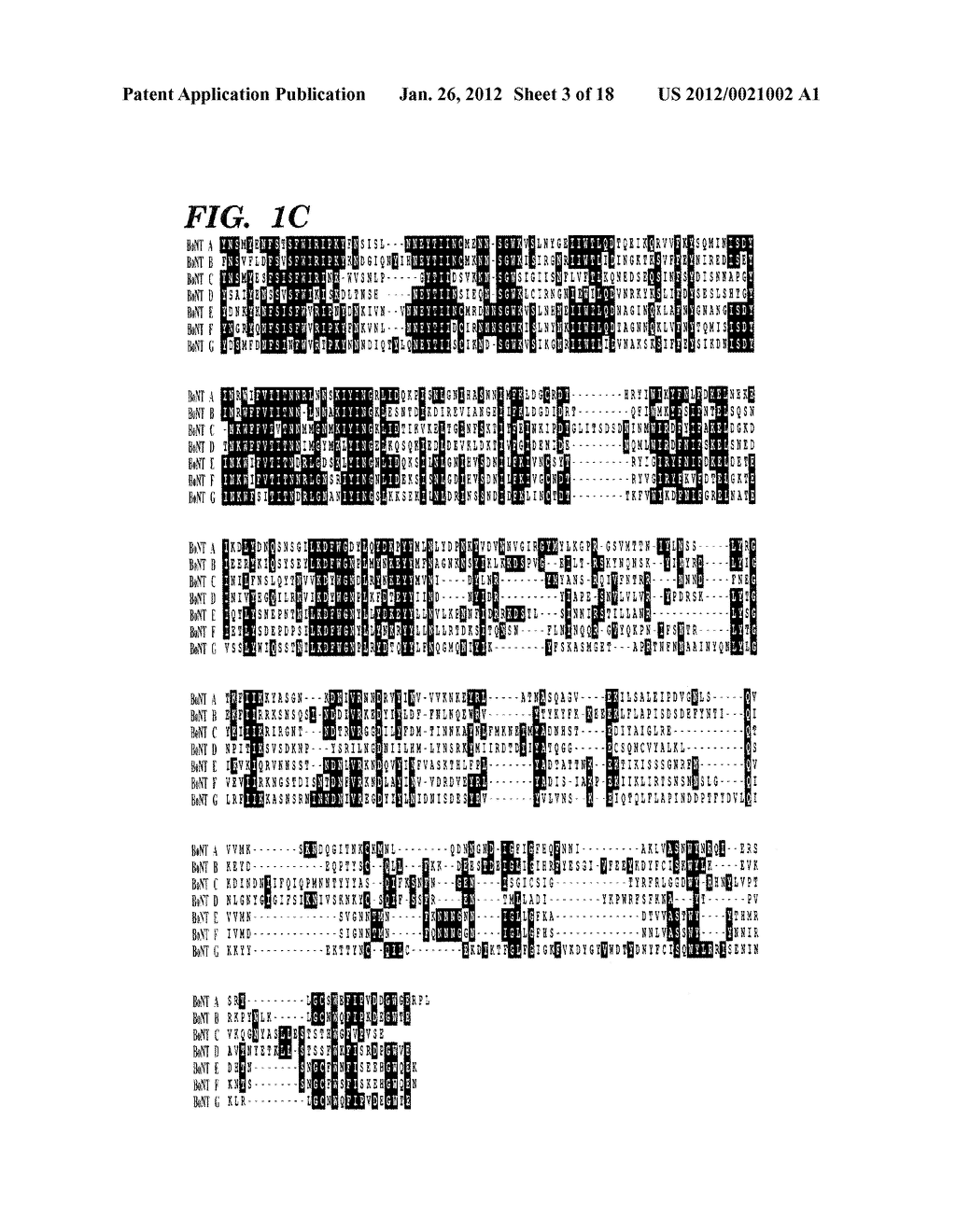 GENETICALLY ENGINEERED CLOSTRIDIAL GENES, PROTEINS ENCODED BY THE     ENGINEERED GENES, AND USES THEREOF - diagram, schematic, and image 04