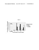 EGFR-HOMING DOUBLE-STRANDED RNA VECTOR FOR SYSTEMIC CANCER TREATMENT diagram and image