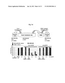 EGFR-HOMING DOUBLE-STRANDED RNA VECTOR FOR SYSTEMIC CANCER TREATMENT diagram and image