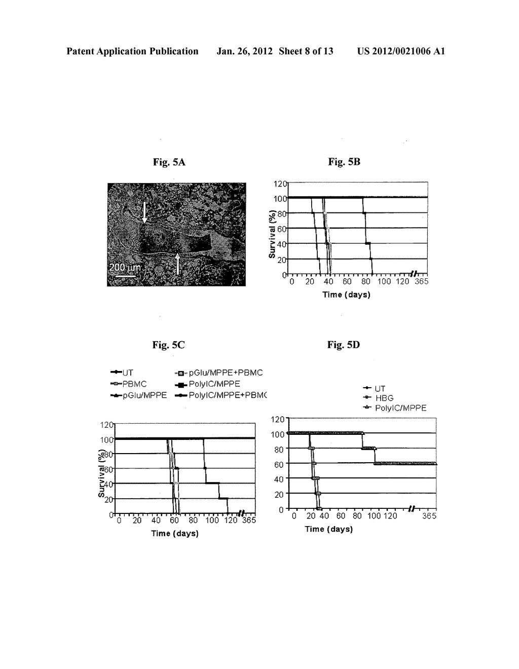 EGFR-HOMING DOUBLE-STRANDED RNA VECTOR FOR SYSTEMIC CANCER TREATMENT - diagram, schematic, and image 09