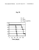 EGFR-HOMING DOUBLE-STRANDED RNA VECTOR FOR SYSTEMIC CANCER TREATMENT diagram and image