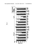 EGFR-HOMING DOUBLE-STRANDED RNA VECTOR FOR SYSTEMIC CANCER TREATMENT diagram and image