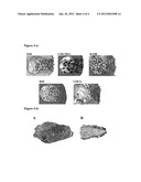 INJECTABLE AND MOLDABLE CERAMIC MATERIALS diagram and image