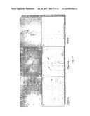 BRANCHED AMPHIPATHIC OLIGO-PEPTIDES THAT SELF-ASSEMBLE INTO VESICLES diagram and image