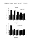 Nanoparticles containing plymeric nucleic acid homologs, pharmaceutical     composition and articles of manufacture containing same and methods of     use thereof diagram and image