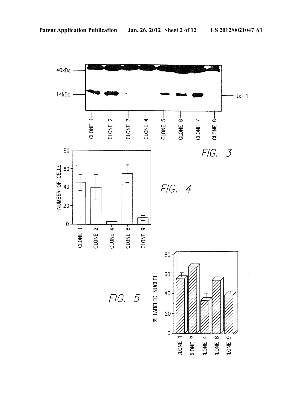 Id-1 Gene and Gene Products as Therapeutic Targets for Treatment of Breast     Cancer and Other Types of Carcinoma - diagram, schematic, and image 03