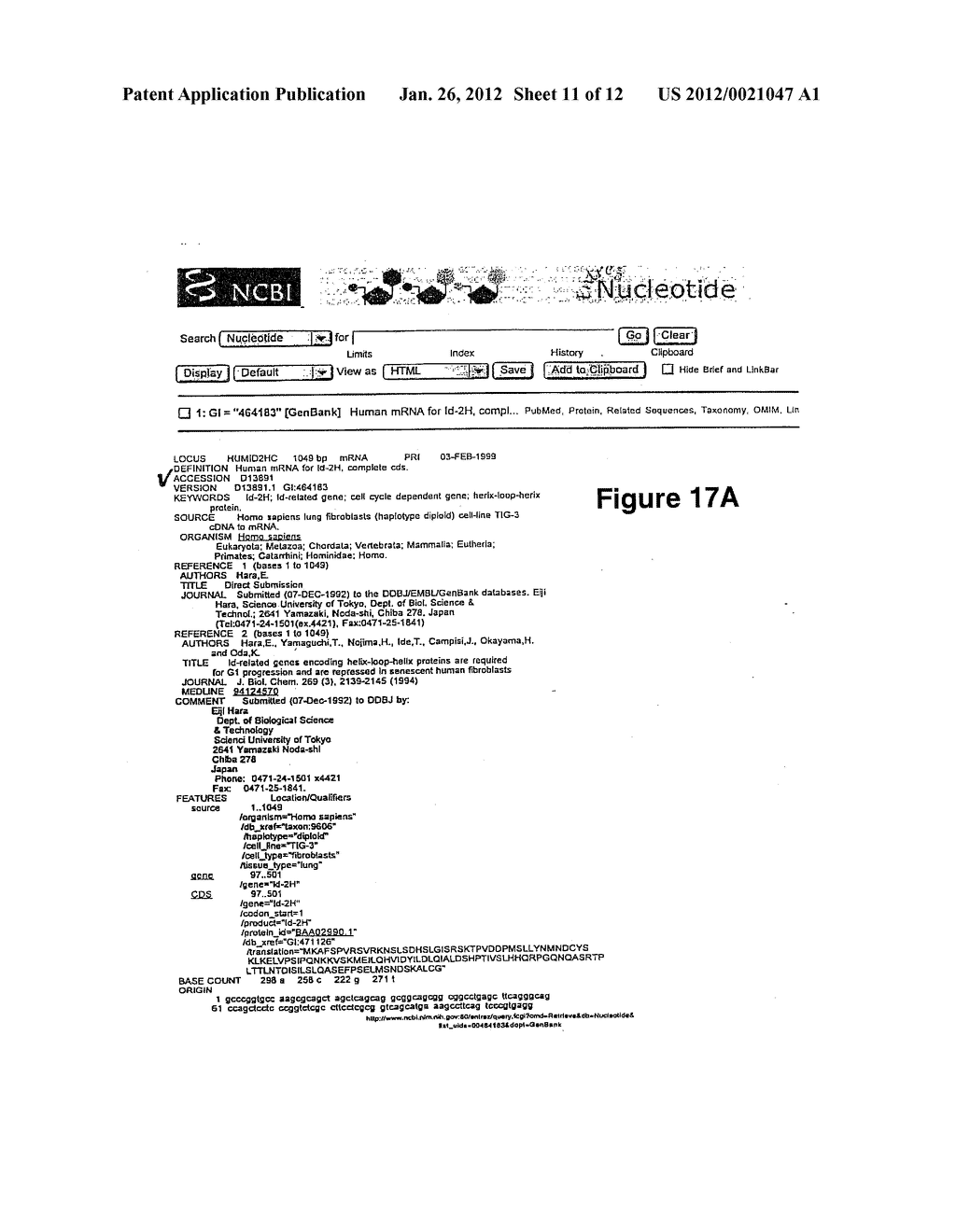 Id-1 Gene and Gene Products as Therapeutic Targets for Treatment of Breast     Cancer and Other Types of Carcinoma - diagram, schematic, and image 12