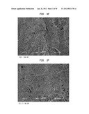 Belt-creped, variable local basis weight multi-ply sheet with cellulose     microfiber prepared with perforated polymeric belt diagram and image