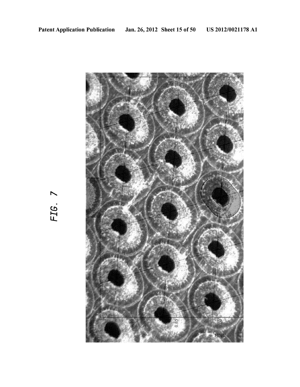 Belt-creped, variable local basis weight multi-ply sheet with cellulose     microfiber prepared with perforated polymeric belt - diagram, schematic, and image 16