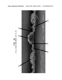 Belt-creped, variable local basis weight multi-ply sheet with cellulose     microfiber prepared with perforated polymeric belt diagram and image