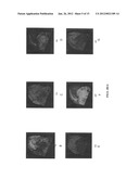 Pre-coated surfaces for analysis diagram and image