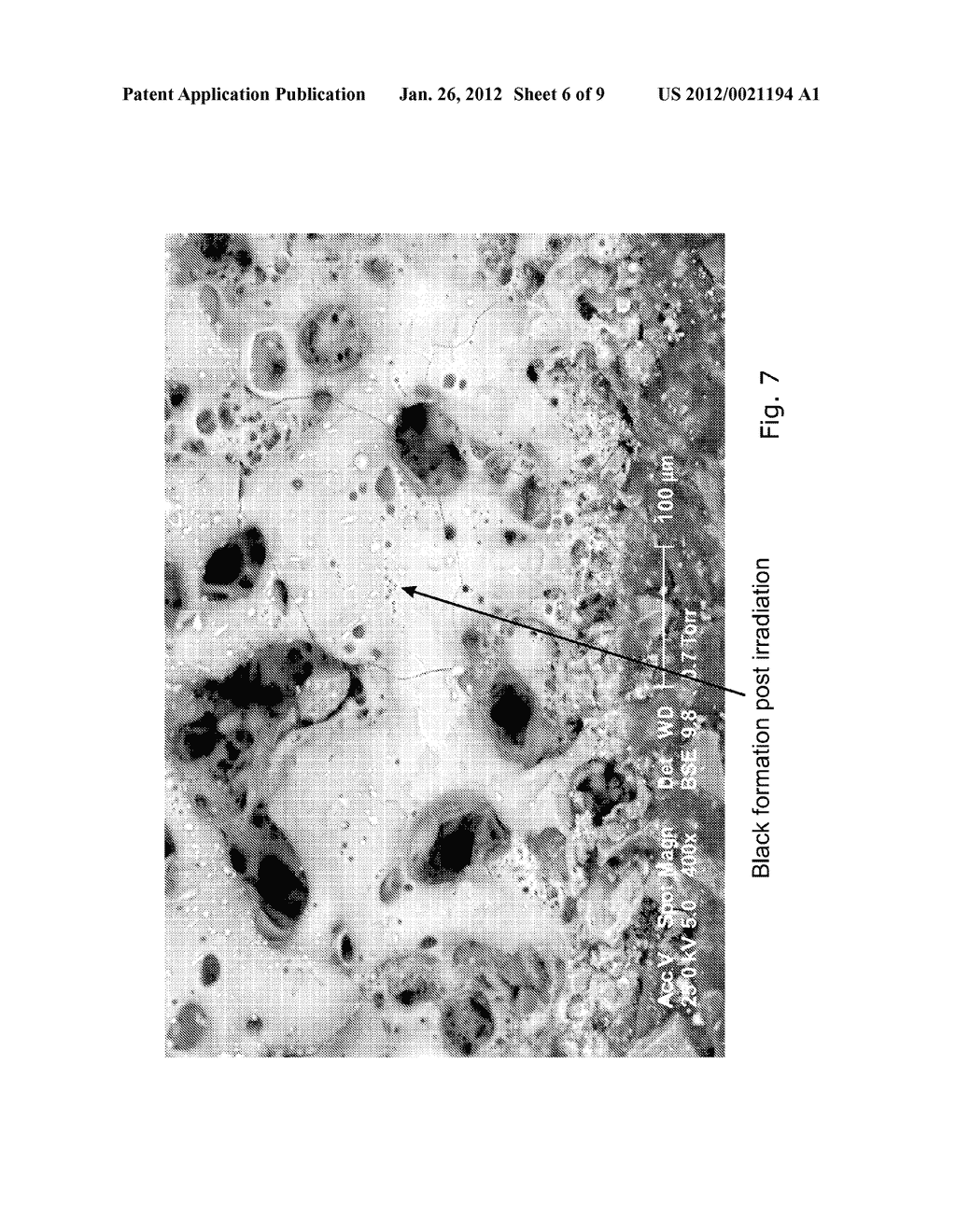 Method for Marking a Substrate - diagram, schematic, and image 07