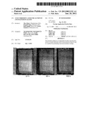 ANTI-CORROSION LAYER FOR ALUMINUM AND MAGNESIUM ALLOYS diagram and image