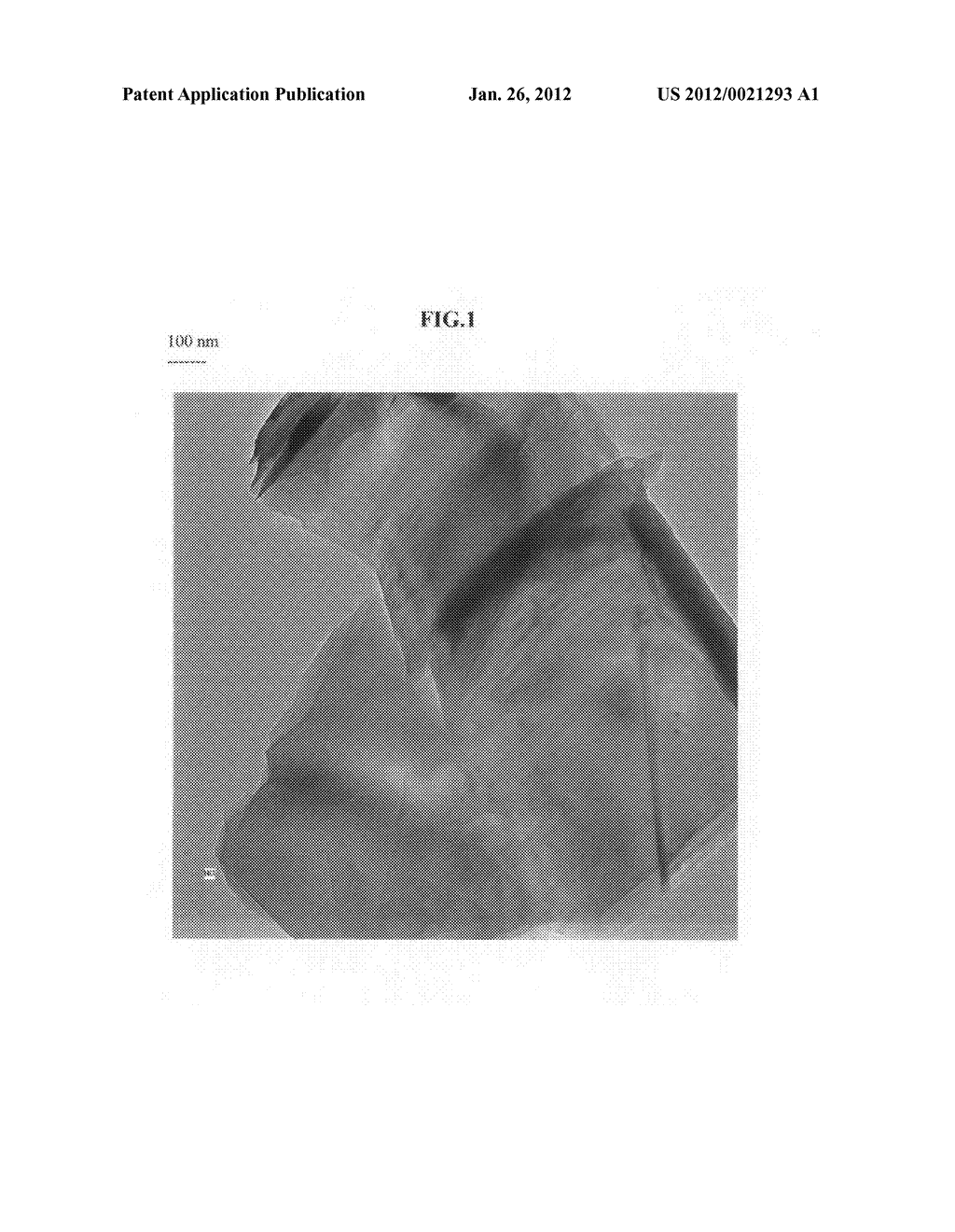 Method of producing nano-scaled inorganic platelets - diagram, schematic, and image 02