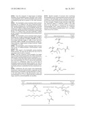 PROCESS FOR MAKING LITHOGRAPHIC PRINTING PLATE, DEVELOPER FOR LITHOGRAPHIC     PRINTING PLATE PRECURSOR, AND REPLENISHER FOR LITHOGRAPHIC PRINTING PLATE     PRECURSOR DEVELOPMENT diagram and image