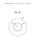 Model Human Eye and Face Manikin for Use Therewith diagram and image