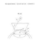 Model Human Eye and Face Manikin for Use Therewith diagram and image