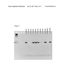 Method for Diagnosis and Monitoring of Viral Infection by Analysis of     Viral Transrenal Nucleic Acids in Urine diagram and image