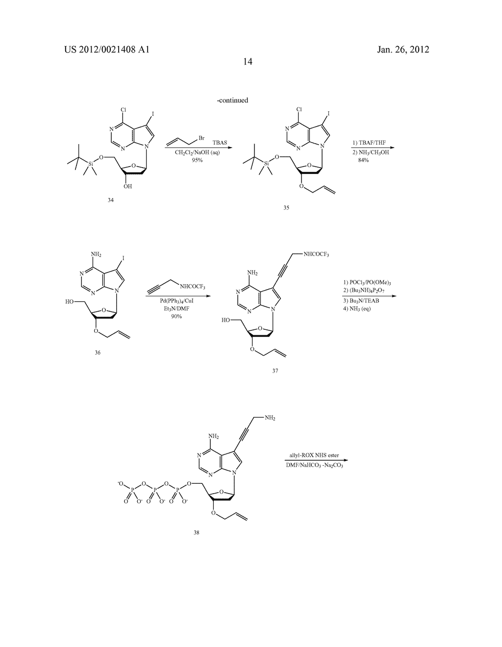 FOUR-COLOR DNA SEQUENCING BY SYNTHESIS USING CLEAVABLE FLUORESCENT     NUCLEOTIDE REVERSIBLE TERMINATORS - diagram, schematic, and image 28