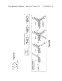 TRIGGERED MOLECULAR GEOMETRY BASED BIOIMAGING PROBES diagram and image