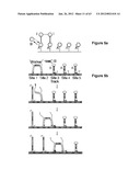 TRIGGERED MOLECULAR GEOMETRY BASED BIOIMAGING PROBES diagram and image