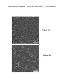 TRIGGERED MOLECULAR GEOMETRY BASED BIOIMAGING PROBES diagram and image