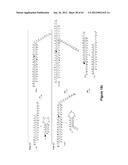 TRIGGERED MOLECULAR GEOMETRY BASED BIOIMAGING PROBES diagram and image