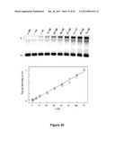 TRIGGERED MOLECULAR GEOMETRY BASED BIOIMAGING PROBES diagram and image