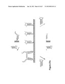 TRIGGERED MOLECULAR GEOMETRY BASED BIOIMAGING PROBES diagram and image