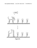 TRIGGERED MOLECULAR GEOMETRY BASED BIOIMAGING PROBES diagram and image