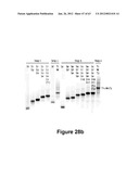 TRIGGERED MOLECULAR GEOMETRY BASED BIOIMAGING PROBES diagram and image