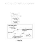 TRIGGERED MOLECULAR GEOMETRY BASED BIOIMAGING PROBES diagram and image