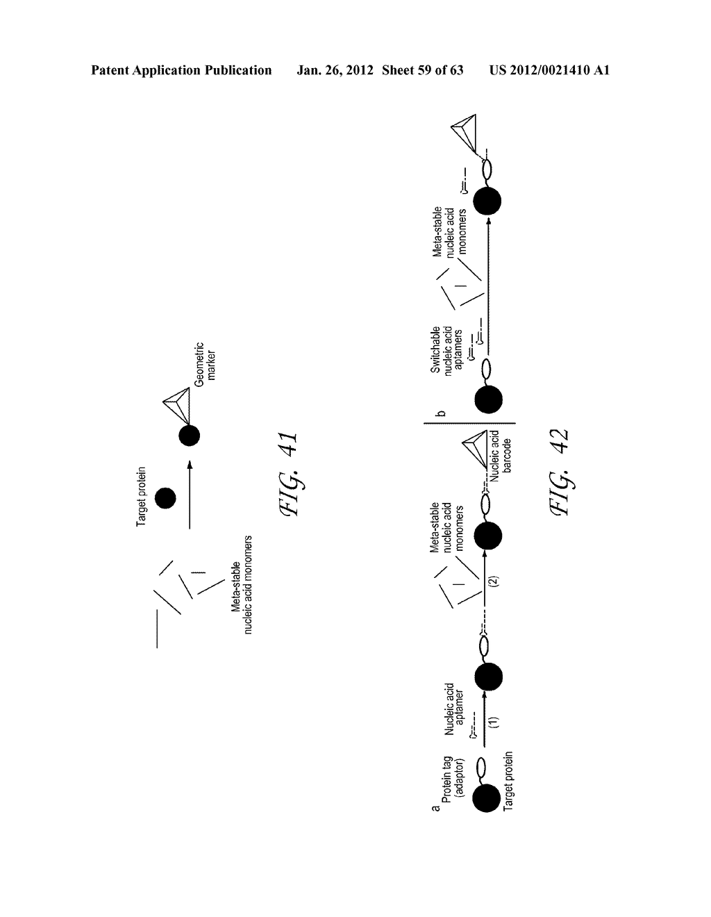 TRIGGERED MOLECULAR GEOMETRY BASED BIOIMAGING PROBES - diagram, schematic, and image 60