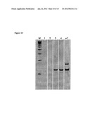 Compositions and Methods for Detecting Pathogen Specific Nucleic Acids in     Urine diagram and image