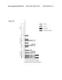 DIAGNOSTIC MARKERS OF IMMUNOSENESCENCE AND METHODS OF USE THEREOF diagram and image