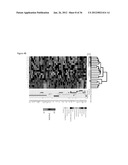 DIAGNOSTIC MARKERS OF IMMUNOSENESCENCE AND METHODS OF USE THEREOF diagram and image