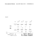 DIAGNOSTIC MARKERS OF IMMUNOSENESCENCE AND METHODS OF USE THEREOF diagram and image