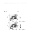 DIAGNOSTIC MARKERS OF IMMUNOSENESCENCE AND METHODS OF USE THEREOF diagram and image