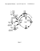 BIOLAYER INTERFEROMETRY MEASUREMENT OF BIOLOGICAL TARGETS diagram and image